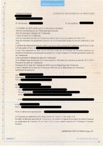 How to Apply for French Citizenship by Descent via CNF